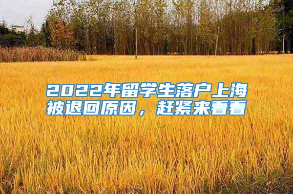 2022年留學(xué)生落戶上海被退回原因，趕緊來看看