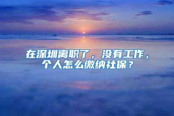 在深圳離職了，沒有工作，個人怎么繳納社保？