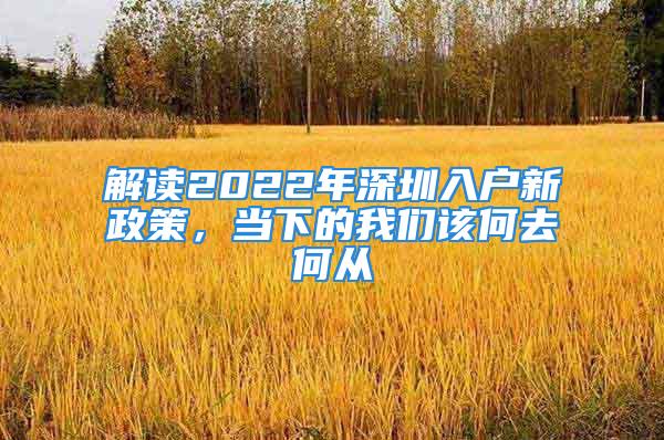 解讀2022年深圳入戶新政策，當(dāng)下的我們該何去何從