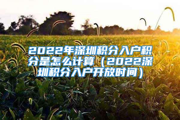 2022年深圳積分入戶積分是怎么計算（2022深圳積分入戶開放時間）