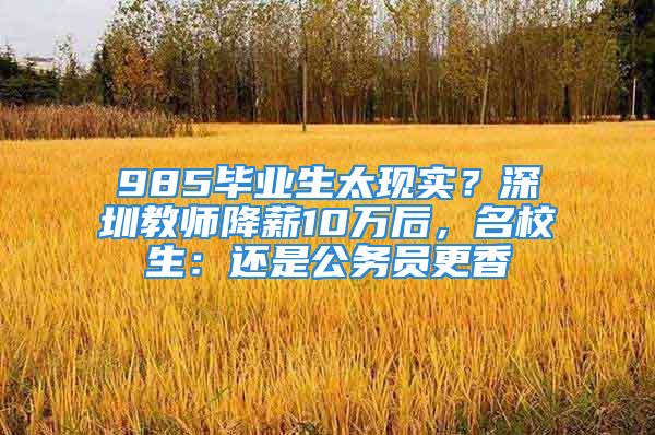 985畢業(yè)生太現(xiàn)實？深圳教師降薪10萬后，名校生：還是公務(wù)員更香