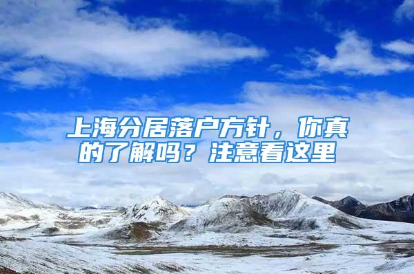 上海分居落戶方針，你真的了解嗎？注意看這里