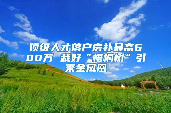 頂級人才落戶房補(bǔ)最高600萬 栽好“梧桐樹”引來金鳳凰