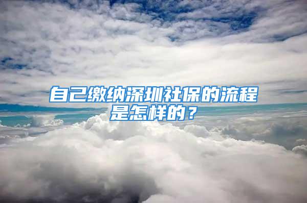 自己繳納深圳社保的流程是怎樣的？