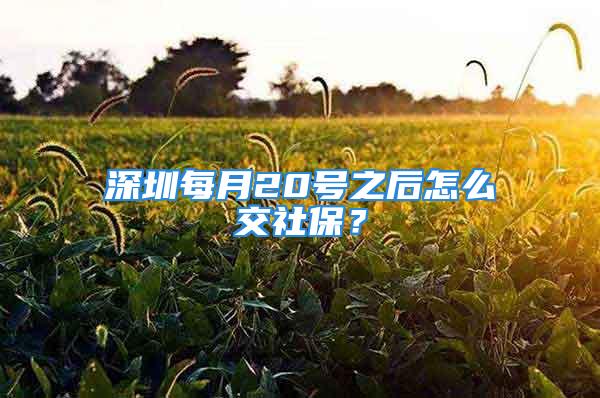 深圳每月20號之后怎么交社保？