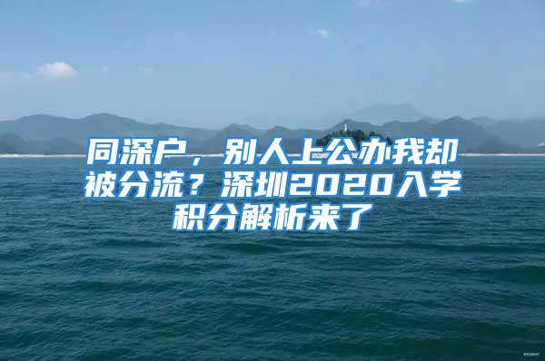 同深戶，別人上公辦我卻被分流？深圳2020入學(xué)積分解析來(lái)了