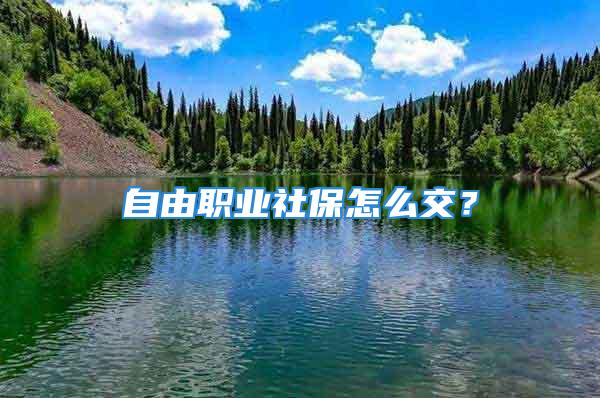 自由職業(yè)社保怎么交？