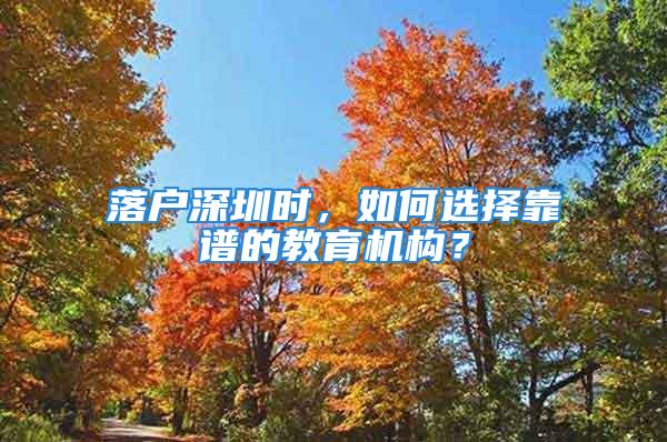 落戶(hù)深圳時(shí)，如何選擇靠譜的教育機(jī)構(gòu)？