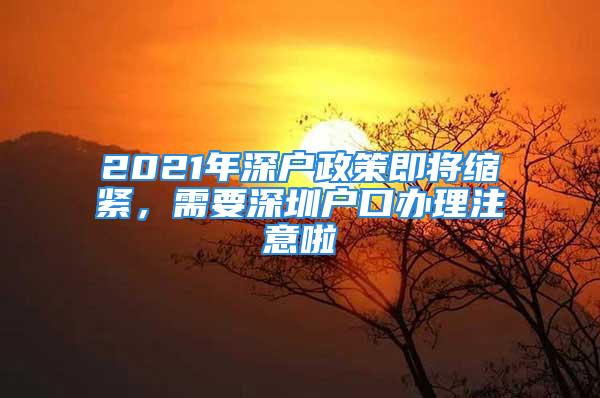 2021年深戶政策即將縮緊，需要深圳戶口辦理注意啦