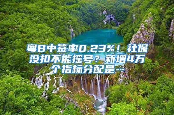 粵B中簽率0.23%！社保沒扣不能搖號(hào)？新增4萬個(gè)指標(biāo)分配是…