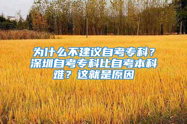 為什么不建議自考?？疲可钲谧钥紝？票茸钥急究齐y？這就是原因