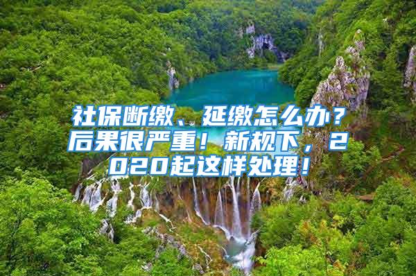 社保斷繳、延繳怎么辦？后果很嚴(yán)重！新規(guī)下，2020起這樣處理！