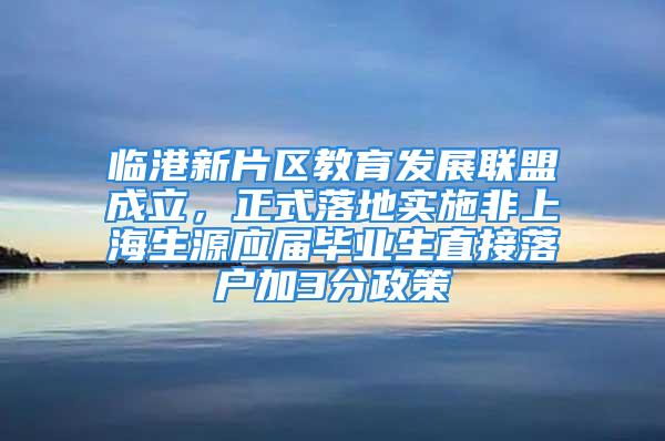 臨港新片區(qū)教育發(fā)展聯(lián)盟成立，正式落地實施非上海生源應(yīng)屆畢業(yè)生直接落戶加3分政策