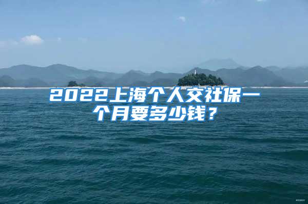 2022上海個(gè)人交社保一個(gè)月要多少錢？