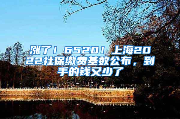 漲了！6520！上海2022社保繳費(fèi)基數(shù)公布，到手的錢又少了