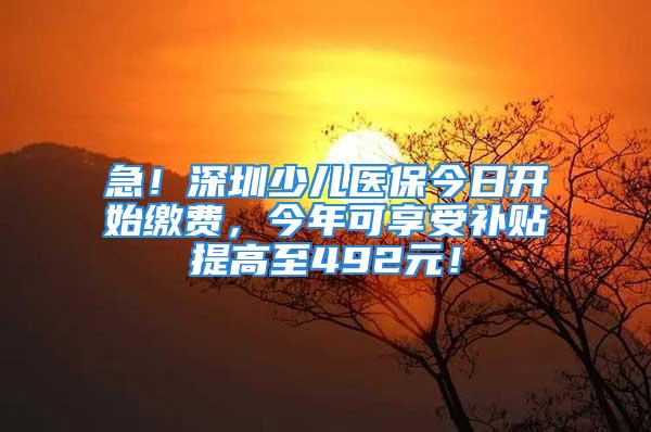 急！深圳少兒醫(yī)保今日開始繳費，今年可享受補貼提高至492元！