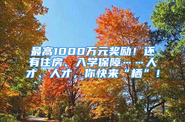 最高1000萬元獎勵！還有住房、入學(xué)保障……人才、人才，你快來“棲”！