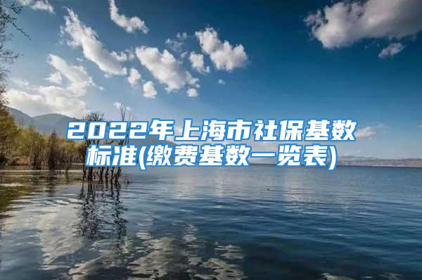 2022年上海市社?；鶖?shù)標(biāo)準(zhǔn)(繳費(fèi)基數(shù)一覽表)