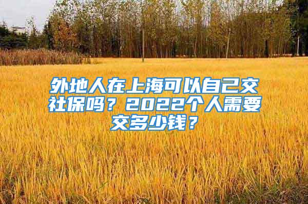 外地人在上?？梢宰约航簧绫?？2022個人需要交多少錢？