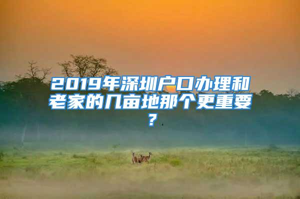 2019年深圳戶口辦理和老家的幾畝地那個(gè)更重要？