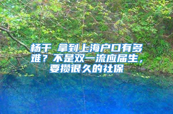 楊千嬅拿到上海戶口有多難？不是雙一流應(yīng)屆生，要攢很久的社保