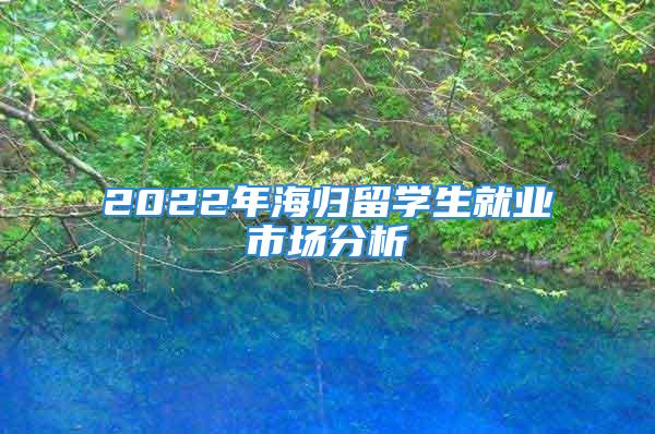 2022年海歸留學生就業(yè)市場分析