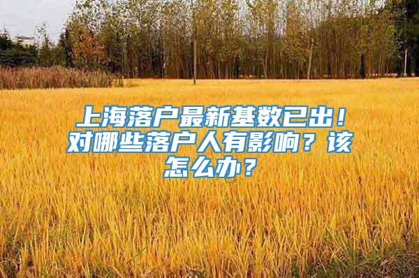 上海落戶最新基數(shù)已出！對哪些落戶人有影響？該怎么辦？