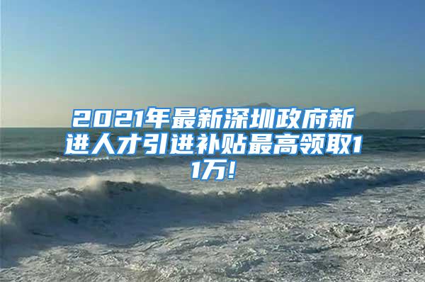 2021年最新深圳政府新進人才引進補貼最高領取11萬!