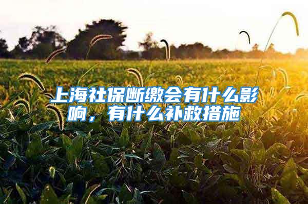 上海社保斷繳會有什么影響，有什么補(bǔ)救措施