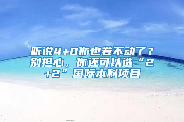 聽說4+0你也卷不動了？別擔心，你還可以選“2+2”國際本科項目