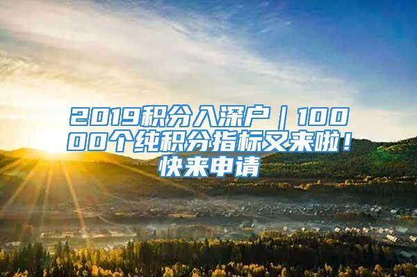 2019積分入深戶｜10000個純積分指標又來啦！快來申請