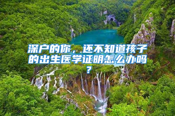 深戶的你，還不知道孩子的出生醫(yī)學證明怎么辦嗎？