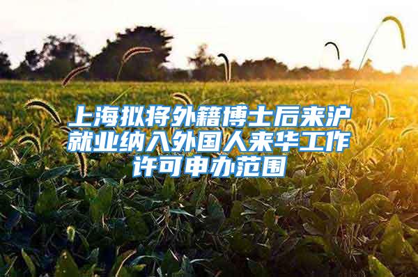 上海擬將外籍博士后來滬就業(yè)納入外國人來華工作許可申辦范圍