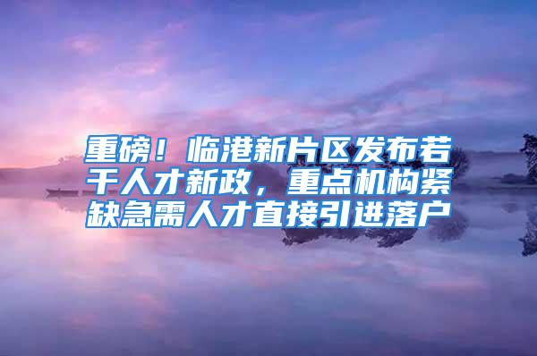 重磅！臨港新片區(qū)發(fā)布若干人才新政，重點機構緊缺急需人才直接引進落戶