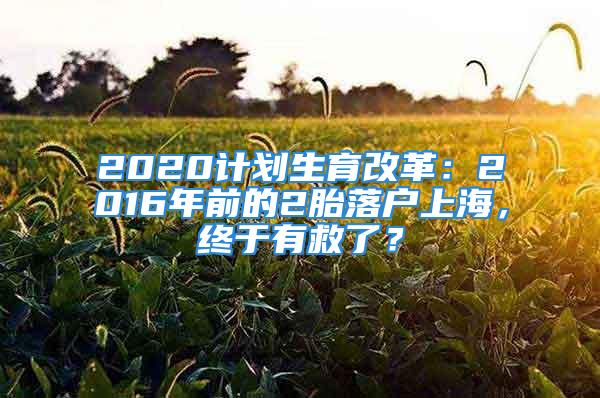 2020計(jì)劃生育改革：2016年前的2胎落戶上海，終于有救了？