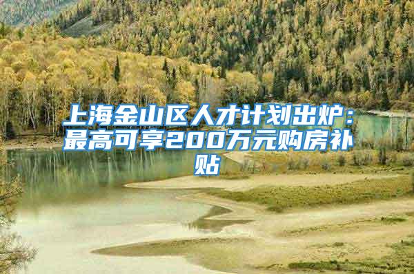 上海金山區(qū)人才計(jì)劃出爐：最高可享200萬元購房補(bǔ)貼