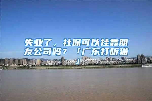 失業(yè)了，社?？梢話炜颗笥压締?？「廣東打聽貓」