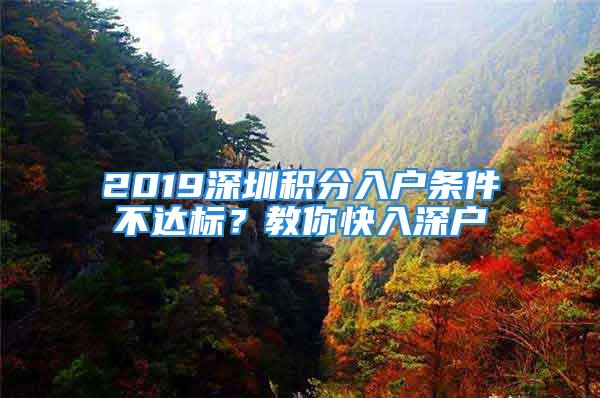 2019深圳積分入戶條件不達標？教你快入深戶