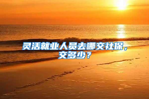 靈活就業(yè)人員去哪交社保，交多少？