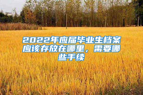 2022年應(yīng)屆畢業(yè)生檔案應(yīng)該存放在哪里，需要哪些手續(xù)