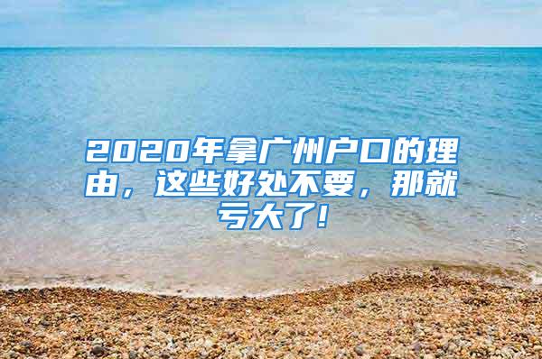 2020年拿廣州戶口的理由，這些好處不要，那就虧大了!