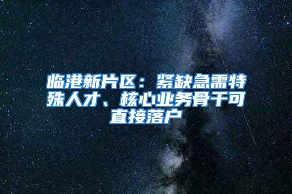 臨港新片區(qū)：緊缺急需特殊人才、核心業(yè)務(wù)骨干可直接落戶