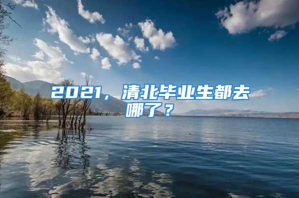 2021，清北畢業(yè)生都去哪了？