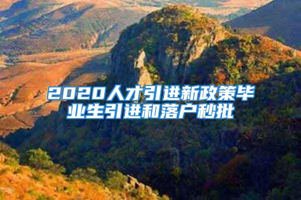 2020人才引進新政策畢業(yè)生引進和落戶秒批