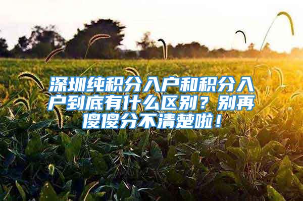 深圳純積分入戶和積分入戶到底有什么區(qū)別？別再傻傻分不清楚啦！