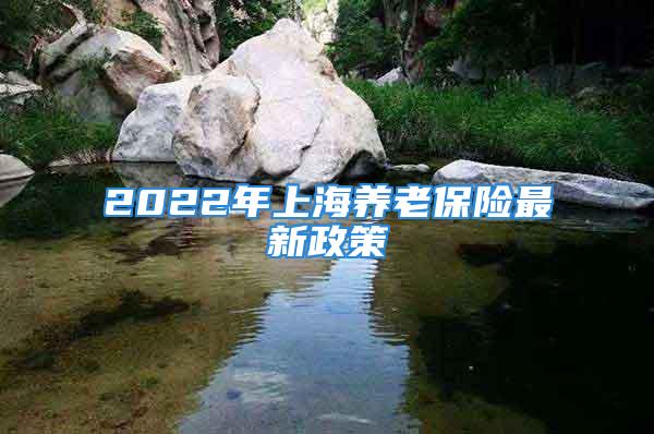 2022年上海養(yǎng)老保險最新政策