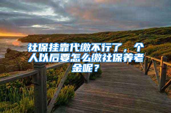 社保掛靠代繳不行了，個人以后要怎么繳社保養(yǎng)老金呢？