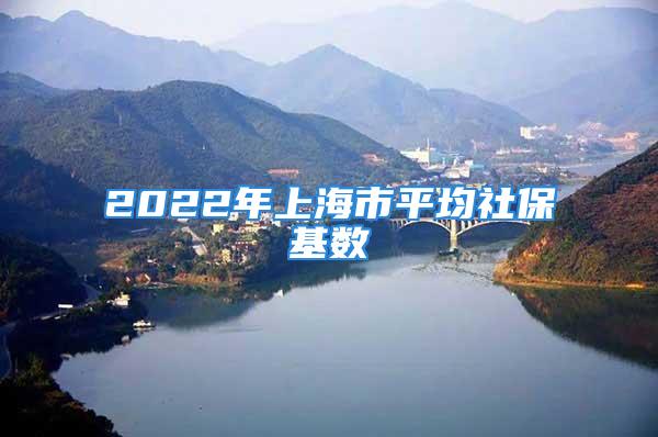 2022年上海市平均社?；鶖?shù)