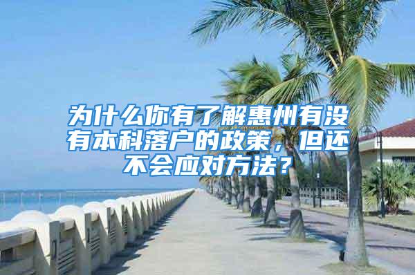 為什么你有了解惠州有沒有本科落戶的政策，但還不會應(yīng)對方法？