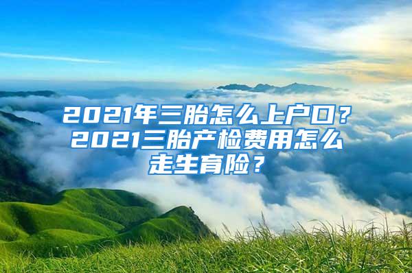 2021年三胎怎么上戶口？2021三胎產(chǎn)檢費用怎么走生育險？